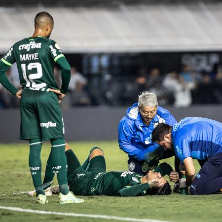 Zagueiro sofreu um choque de cabeça no 1° tempo com Lucas Lima, do Santos - Abner Dourado/AGIF