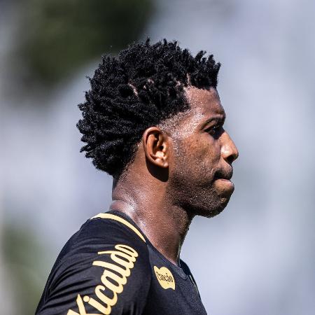 Gil, zagueiro do Santos - Raul Baretta/Santos FC