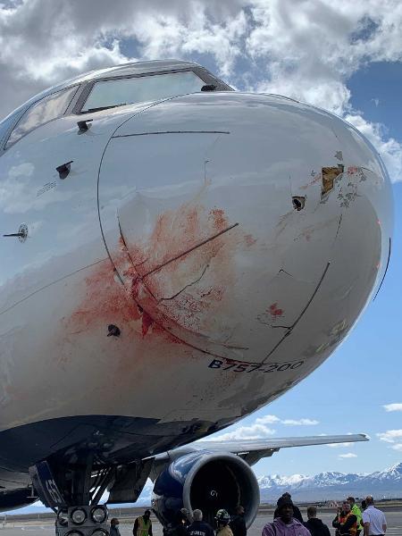 Aeronave que transportava equipe do Utah Jazz sofreu danos após choque com aves - SpencerJosephTV/Fox 13 via Twitter