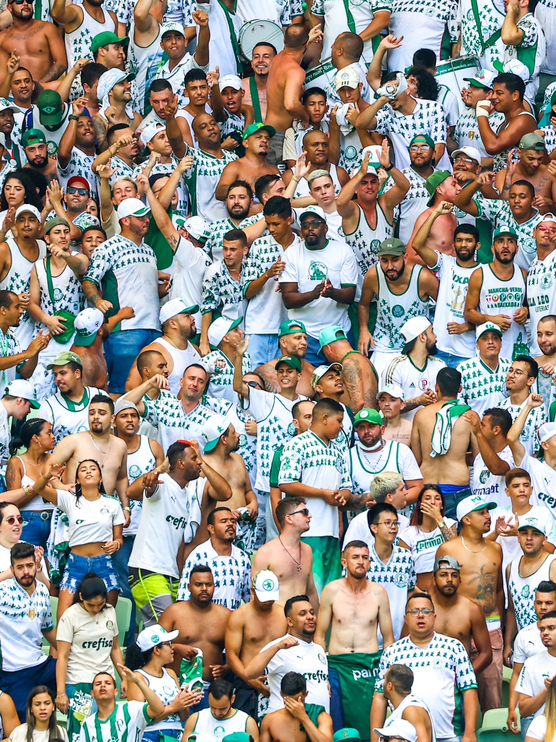 Somos a Mancha Verde a mais temida - [LEGENDADO] Canto da Torcida do  Palmeiras 