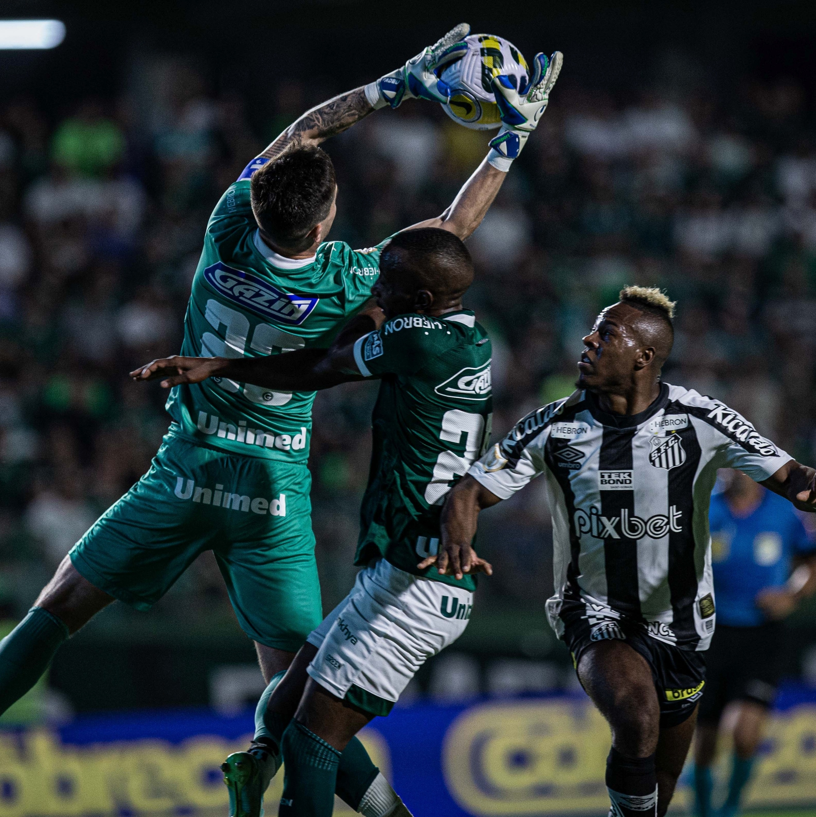 Tadeu, do Goiás, é eleito o melhor goleiro do mês de setembro do Brasileirão