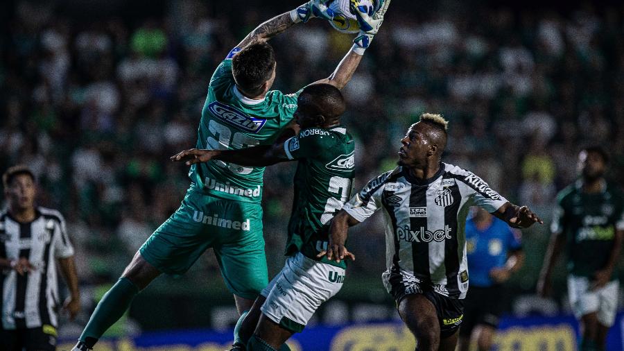 Tadeu goleiro do Goias durante partida contra o Santos na Serrinha pelo campeonato Brasileiro A 2022. - Isabela Azine/AGIF