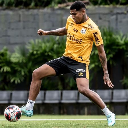 Raniel, do Santos - Ivan Storti/Santos FC