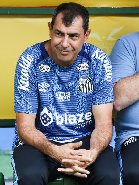 Fabio Carille durante partida contra o Amazonas pela série B do Campeonato Brasileiro