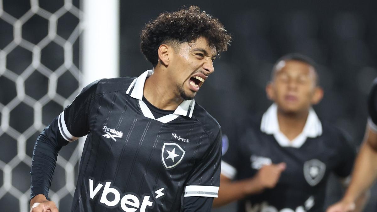 Onde vai passar Botafogo x Vitória pelo Brasileirão? Como assistir ao vivo
