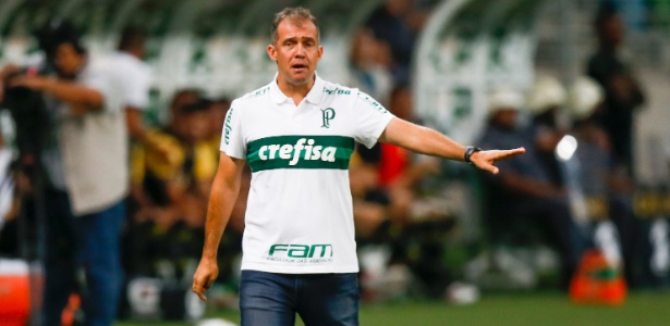 Eduardo Baptista vai comandar o Palmeiras pela quarta vez no Paulistão - Rubens Cavallari/Folhapress