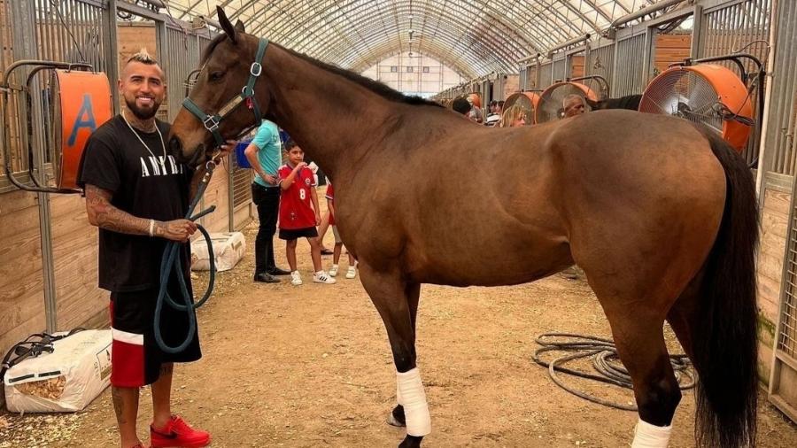 Arturo Vidal, jogador do Flamengo, em seu haras, no Chile - Reprodução/Instagram