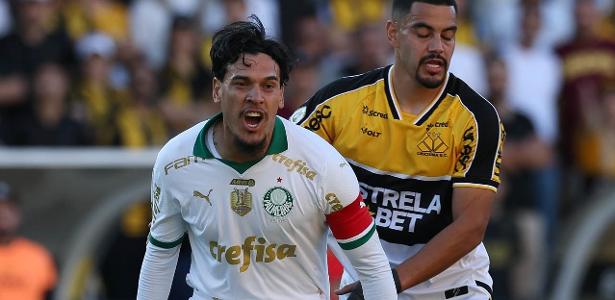 Palmeiras busca reabilitação física e ajustes em semana livre.