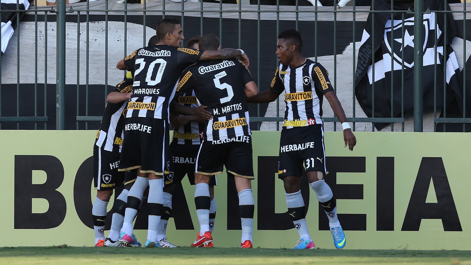 01.06.13 - Jogadores do Botafogo comemoram gol do time carioca contra o Cruzeiro no Brasileirão - Satiro Sodre/SSPress