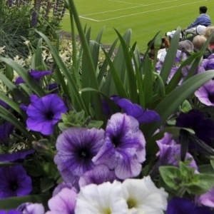 24.jun.2013 - Belas flores são vistas à beira de uma das quadras menores do complexo de Wimbledon - REUTERS/Toby Melville