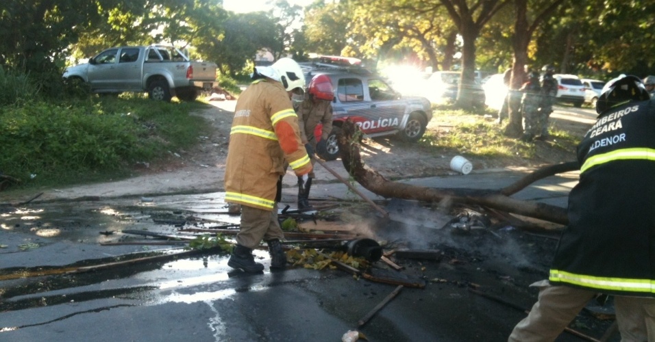 27.jun.2013 - Bombeiros apagam árvore que foi queimada em Fortaleza