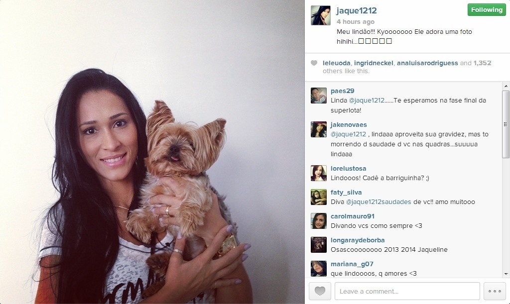 Kyo é o Yorkshire da ponteira da seleção de vôlei Jaque - Reprodução/Instagram