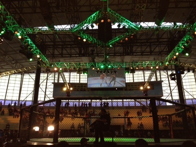 09.out.2013 - Octógono para o UFC Fight Night 29, em Barueri, preparado para receber os lutadores nesta quarta-feira - José Ricardo Leite/UOL