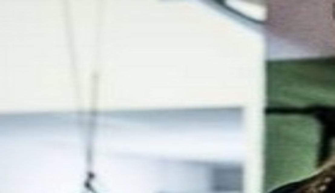 Alexandra Albu estrearia no UFC contra Julie Kedzie, em dezembro, na Austrália, mas se lesionou - Reprodução/Facebook