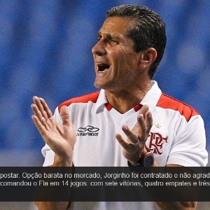 26.nov.2013 - Para substituir Dorival, a diretoria resolveu apostar. Opção barata no mercado, Jorginho foi contratado e não agradou. Em menos de três meses de trabalho, o técnico comandou o Fla em 14 jogos: com sete vitórias, quatro empates e três derrotas - Wagner Meier/AGIF