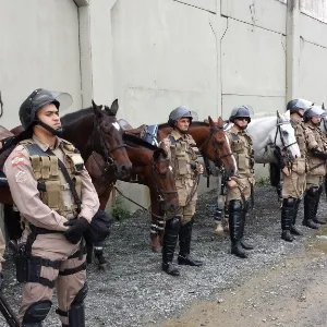 Polícia reforça a segurança na Arena Joinville, antes de jogo da rodada final do BR - Vinicius Castro/UOL