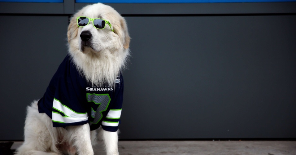19.jan.2014 - Até cachorro é visto no estádio vestido a caráter para 'torcer' pelo Seattle Seahawks na final da conferência nacional da NFL