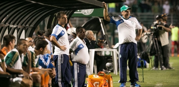 Técnico Gilson Kleina comanda o Palmeiras do banco de reservas do Pacaembu  - Rodrigo Capote/UOL