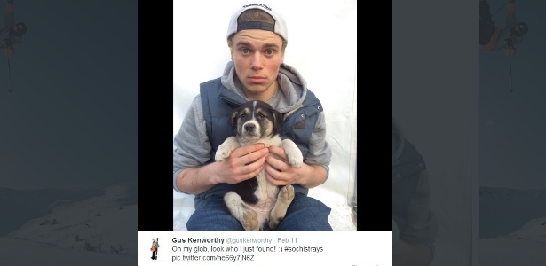 "Olhe quem eu encontrei", escreveu o atleta na legenda de uma foto com um dos cães resgatados - Reprodução/Twitter