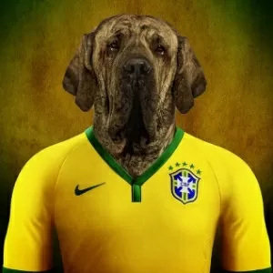 Cachorro Fila: 9 fatos curiosos sobre essa raça brasileira