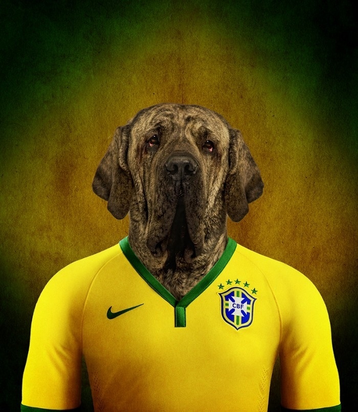 Brasil é representado pelo cão de raça Fila Brasileiro. Ideia de transformar cachorros em jogadores partiu de um site belga especializado em fotos de animais. Acessórios com imagens dos cães jogadores são vendidos pela internet (www.lifeonwhite.com), tendo parte da renda revertida para entidades protetoras de animais - Reprodução/White on Life