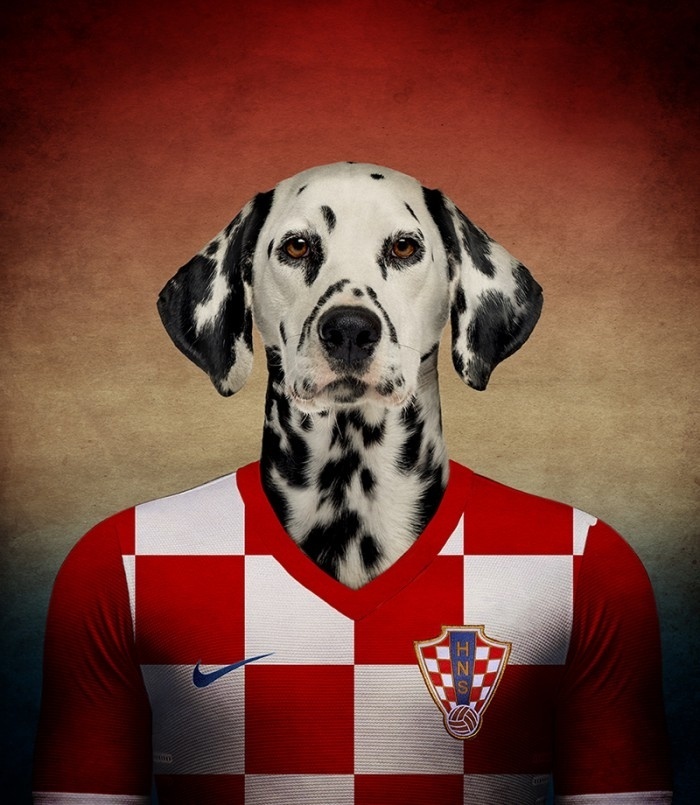 Dálmata com a seleção da Croácia ilustra a campanha criada pelo site belga www.lifeonwhite.com. Parte da venda de acessórios ligados aos cães jogadores será revertida para entidades protetoras de animais - Reprodução/White on Life