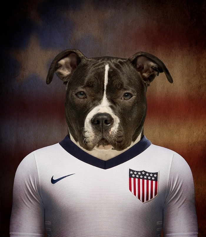 EUA é representado pelo cão de raça American Staffordshire Terrier. Parte da venda de acessórios ligados aos cães jogadores será revertida para entidades protetoras de animais - Reprodução/White on Life
