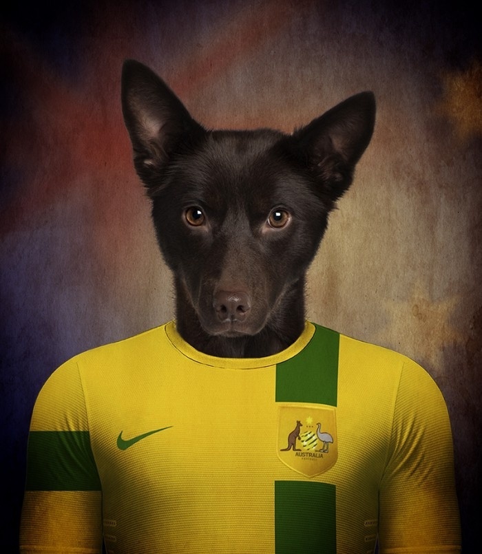 Montagem colocou um cão da raça Kelpie Australiano com a camisa da seleção da Austrália - Reprodução/White on Life