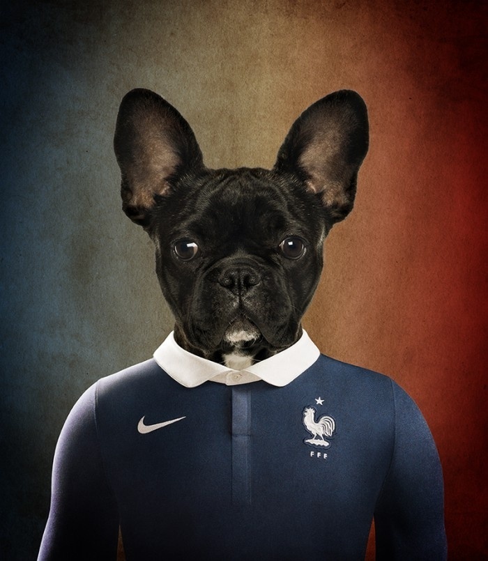 Montagem no computador colocou uniforme da seleção da França em um Buldogue Francês - Reprodução/White on Life