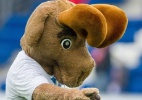 Mesmo com goleada do time, mascote perde a cabeça na Alemanha - EFE/EPA/UWE ANSPACH