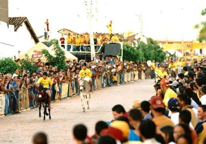 Corrida de Jegues de Zabelê/PB - Reprodução/Corrida de Jegues de Zabelê