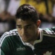 20.abr.2014 - Alan Kardec marcou o segundo gol do Palmeiras sobre o Criciúma - FERNANDO RIBEIRO/FUTURA PRESS/ESTADÃO CONTEÚDO