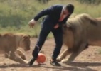 Imagina bater uma bola com leões na selva? Sul-africano fez isso - Reprodução