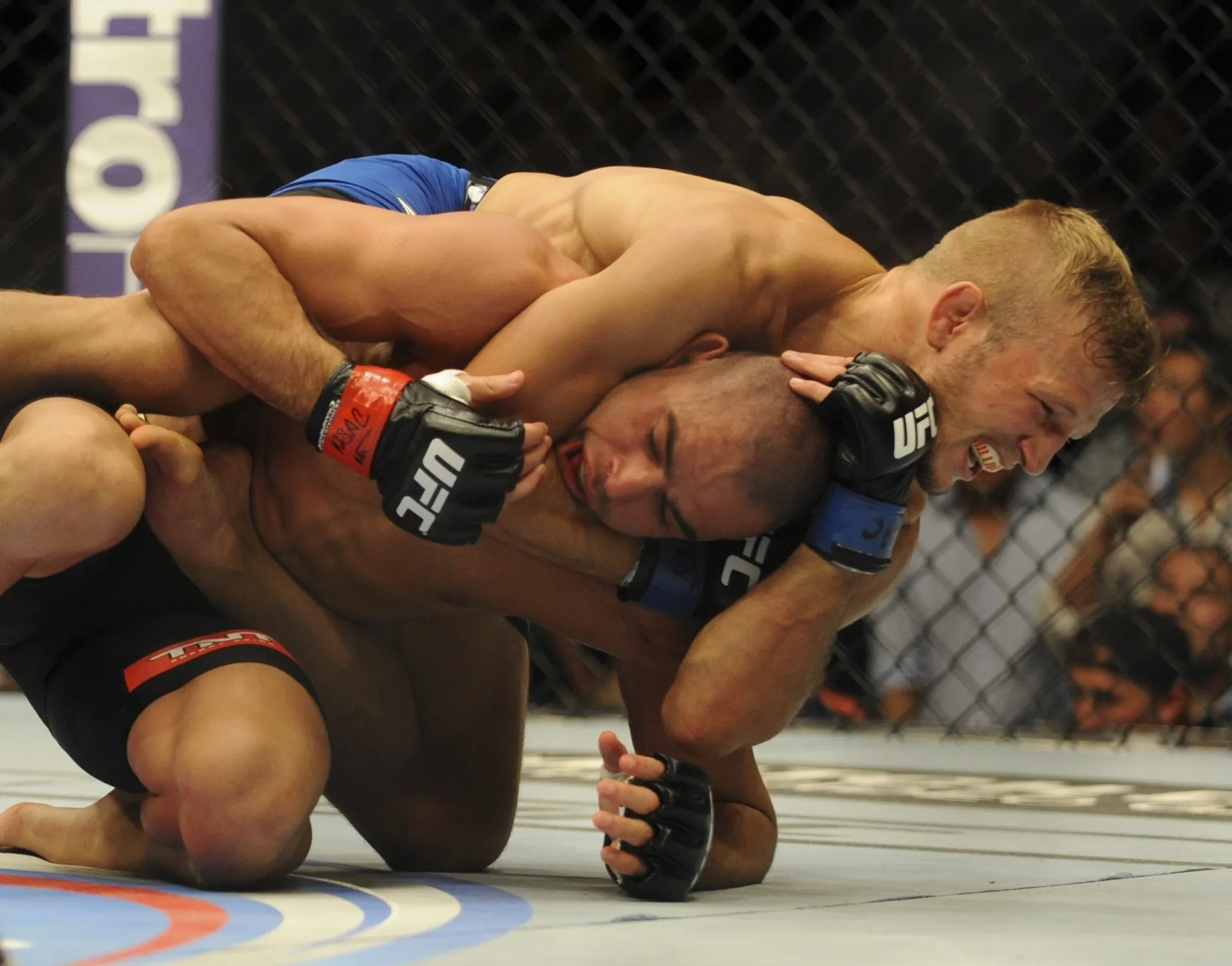 Desafiante TJ Dillashaw castiga Renan Barão, vence por nocaute no quinto round e toma para si o cinturão peso galo do UFC - Reuters