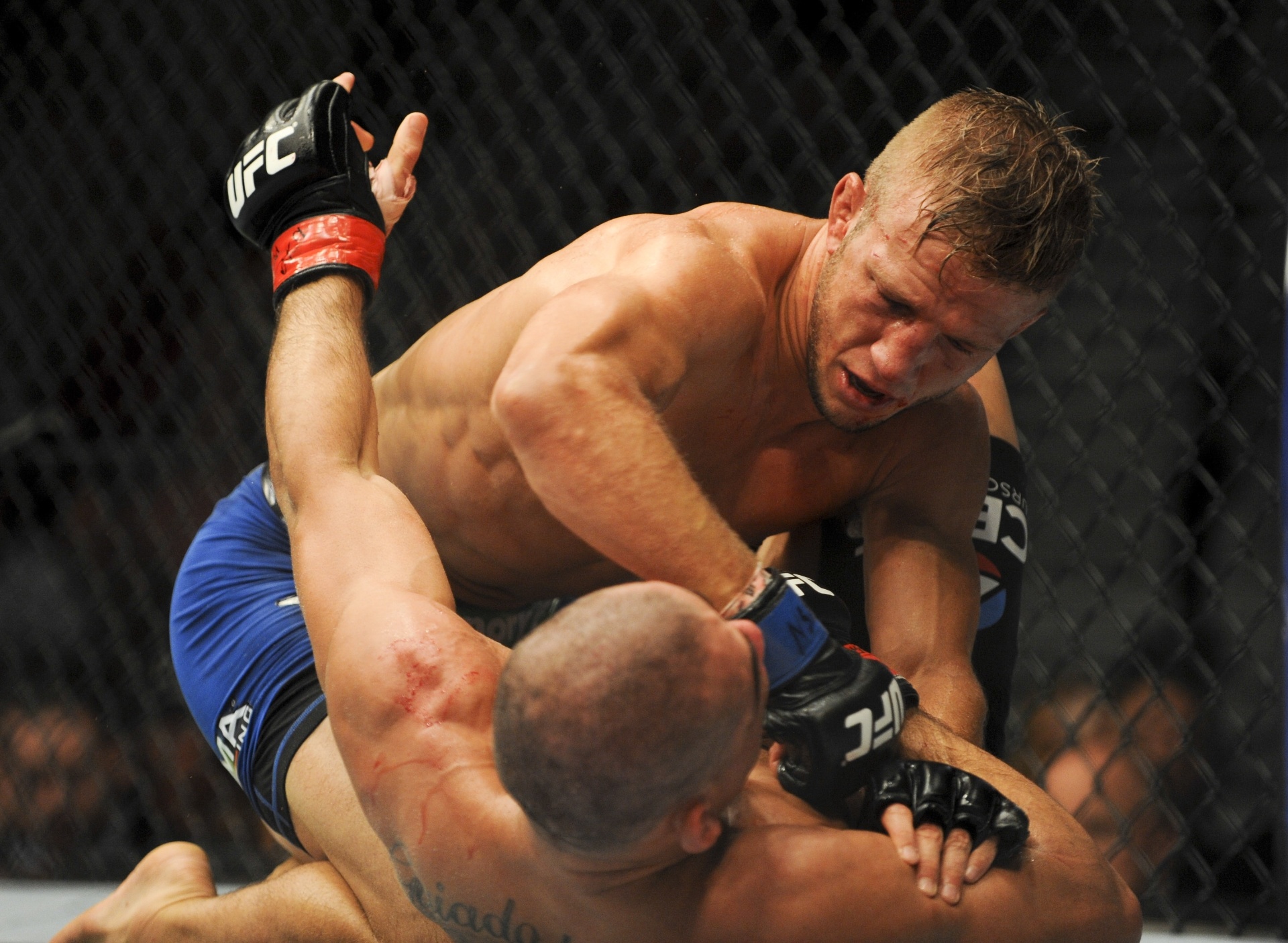 Desafiante TJ Dillashaw castiga Renan Barão, vence por nocaute no quinto round e toma para si o cinturão peso galo do UFC - Reuters