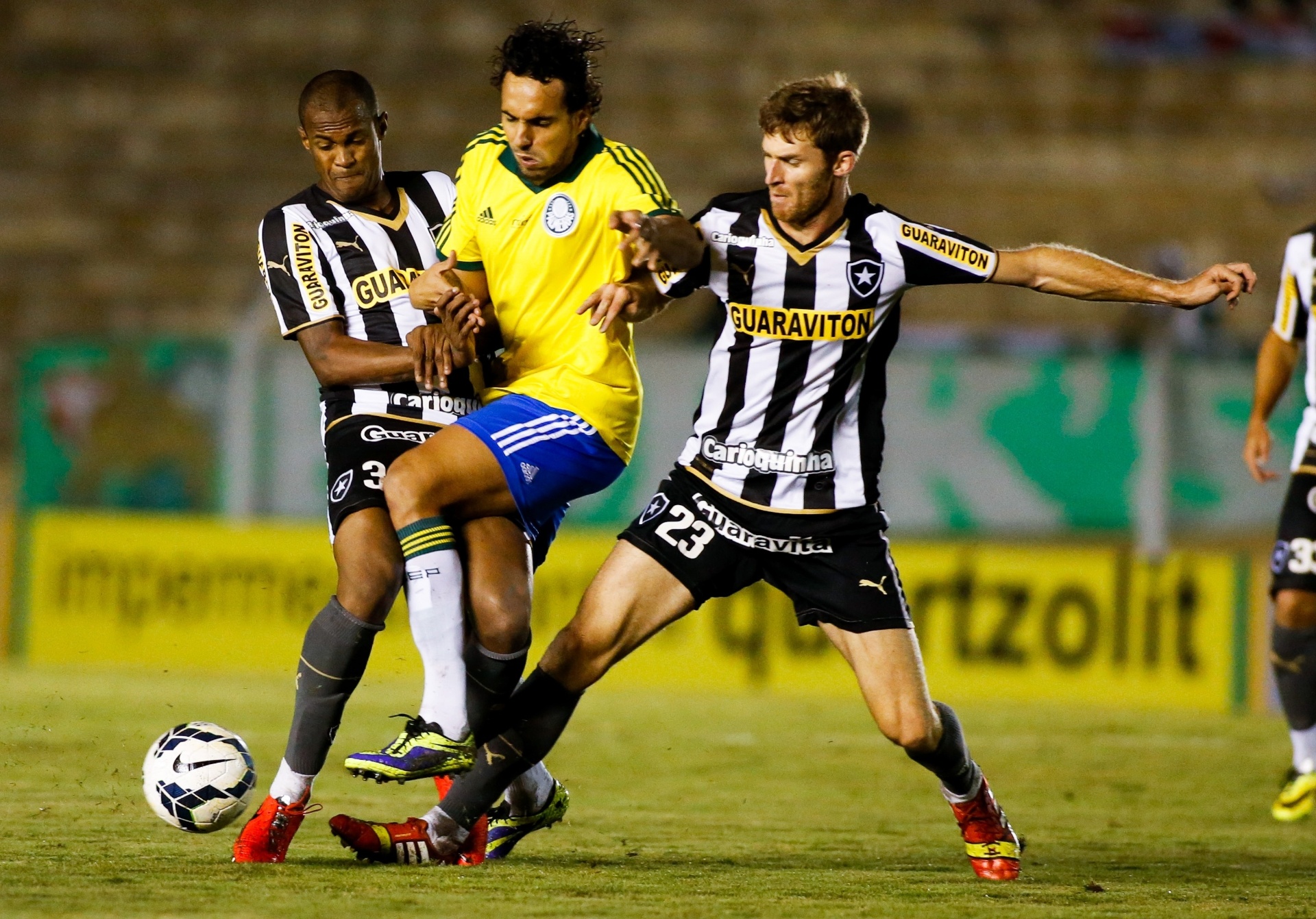 Diogo encara a marcação do Botafogo no jogo do Palmeiras pelo Brasileirão - Alexandre Schneider/Getty Images