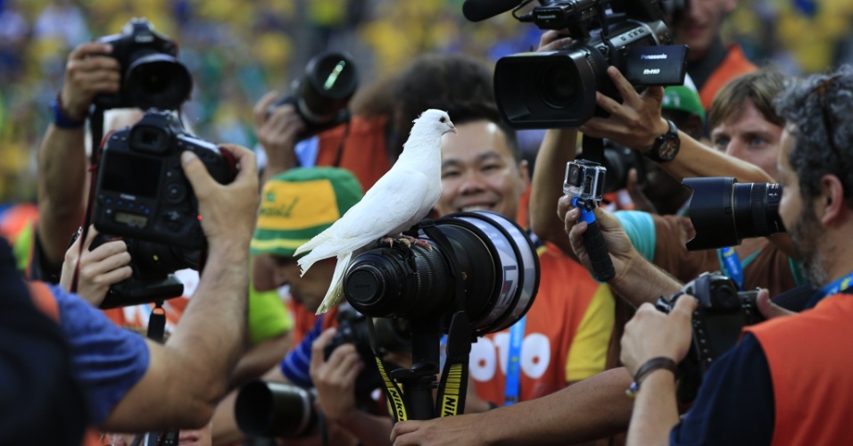 12.jun.2014 - Pomba que foi solta antes do início da partida entre Brasil e Croácia faz a alegria de fotógrafos no Itaquerão