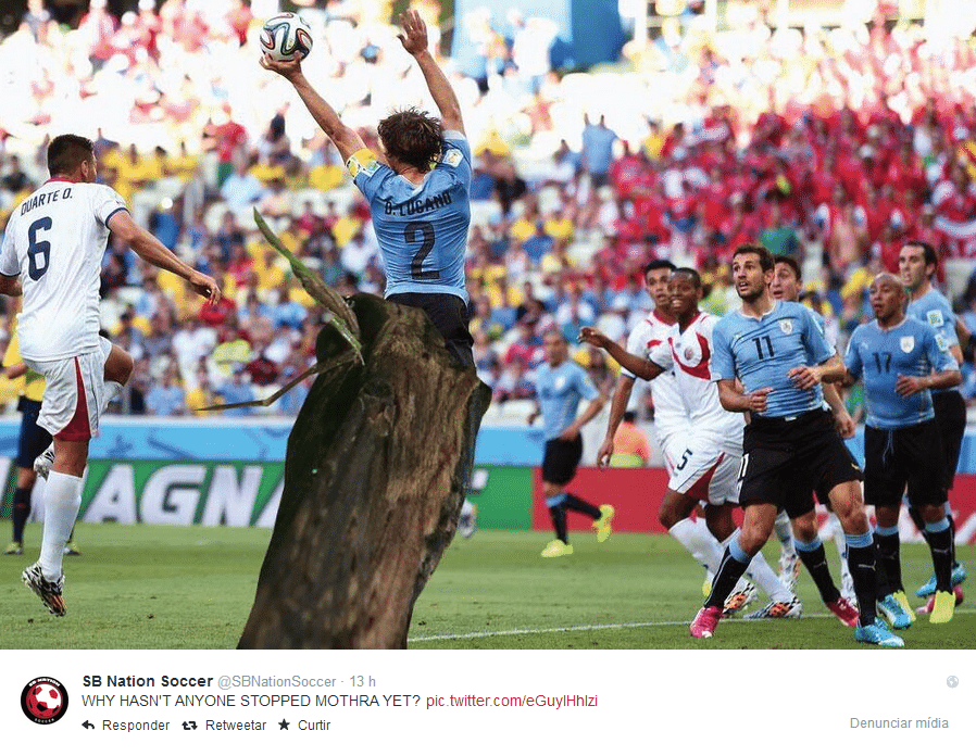 Mariposa 'gigante' que invadiu gramado da partida entre Japão e Costa do Marfim vira meme na internet e sobre até para o zagueiro uruguaio Diego Lugano
