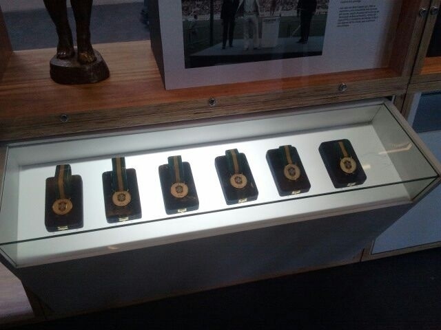 Medalhas entregues pela CBF a Pelé pela conquista dos campeonatos nacionais, como a Taça Brasil e a Taça Roberto Gomes Pedrosa