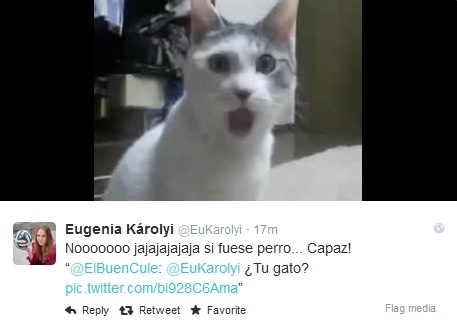 Eugenia Karolyi virou meme por sua cara de espanto durante o empate entre Brasil e México