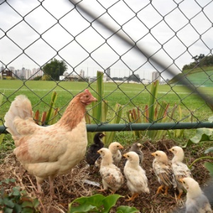 AFP PHOTO/KIRILL KUDRYAVTSEV