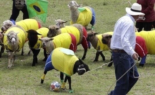 Imagens do treino da seleção brasileira após o vexame