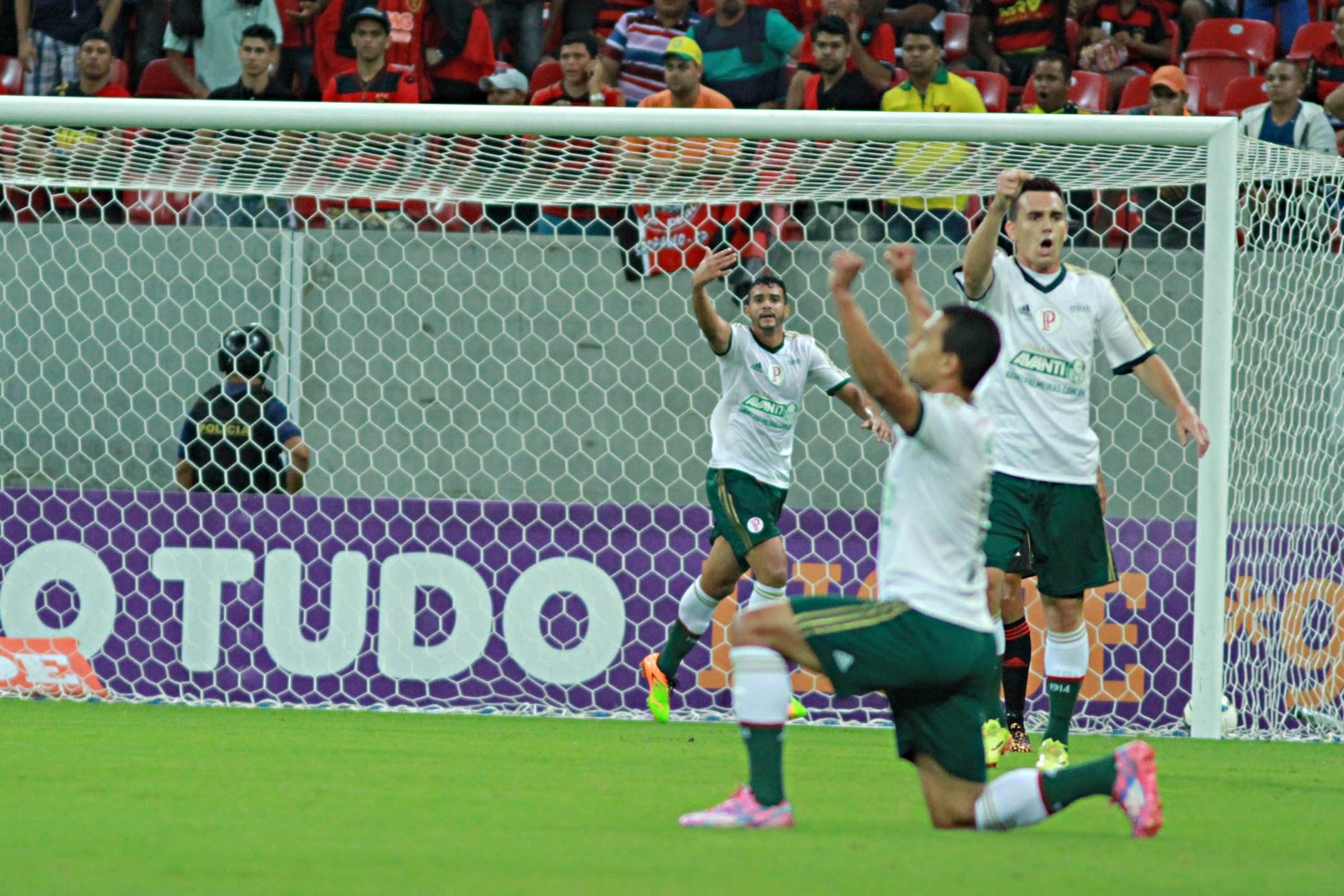 Jogadores do Palmeiras comemoram gol contra o Sport pelo Brasileirão - Renato Spencer/Getty Images