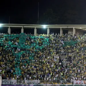 Torcida do Palmeiras compareceu em bom número ao Pacaembu para a partida contra o Internacional - Friedemann Vogel/Getty Images