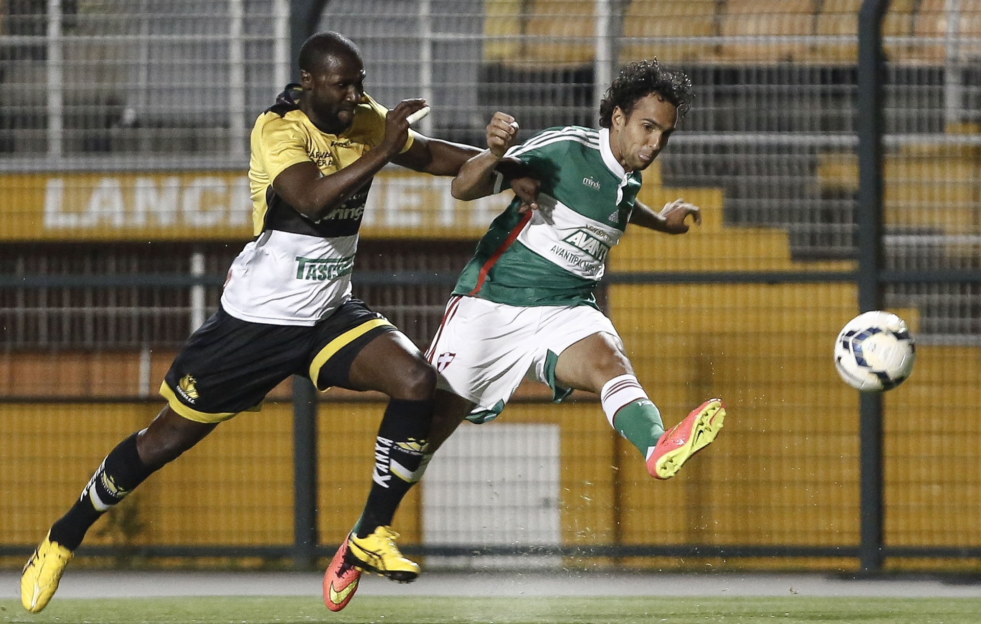 Fotos: Palmeiras E Criciúma Se Enfrentam Pelo Brasileirão - 10/09/2014 ...