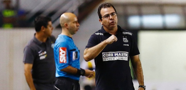 Enderson Moreira deve poupar jogadores contra a Chapecoense - Divulgação/Santos FC