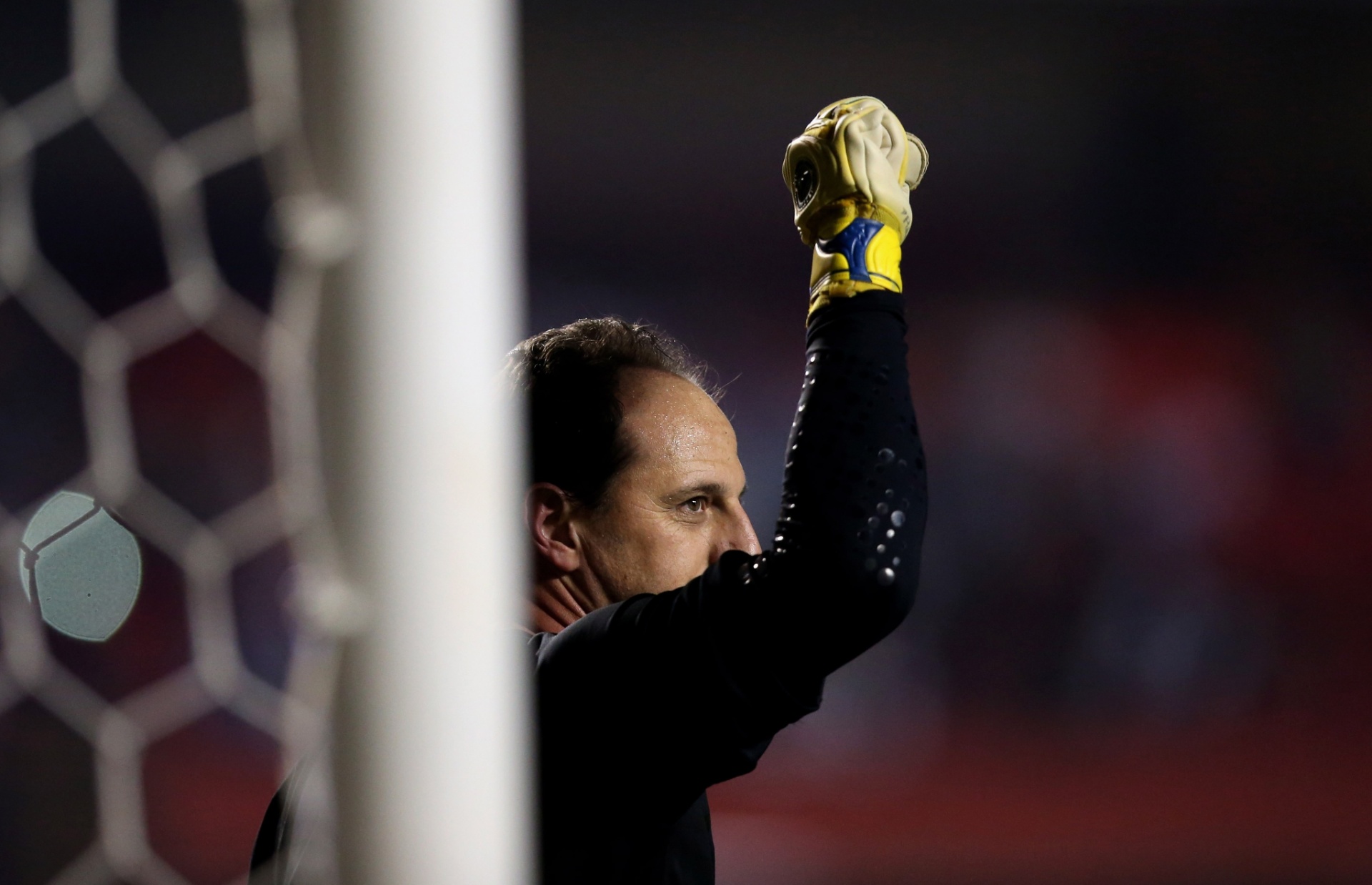 Rogério comemora o gol marcado para o São Paulo contra o Flamengo (24.set.2014) - Friedemann Vogel/Getty Images