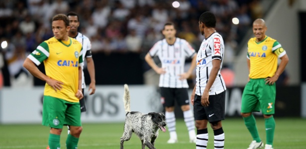 Corinthians x Coritiba, no último sábado, foi interrompido por cachorro no gramado - Friedemann Vogel/Getty Images