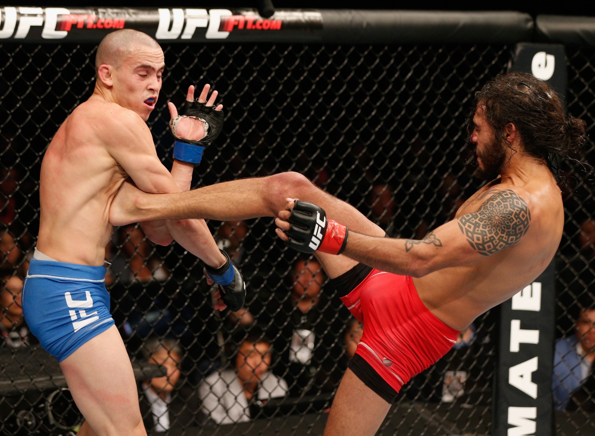 15.nov.2014 - Marco Beltran aplica chute em Marlon Vera, na primeira luta da noite do UFC 180. Beltran venceu Vera por decisão unânime dos juízes e se tornou o primeiro mexicano a vencer no país no UFC. - Josh Hedges/Zuffa LLC UFC