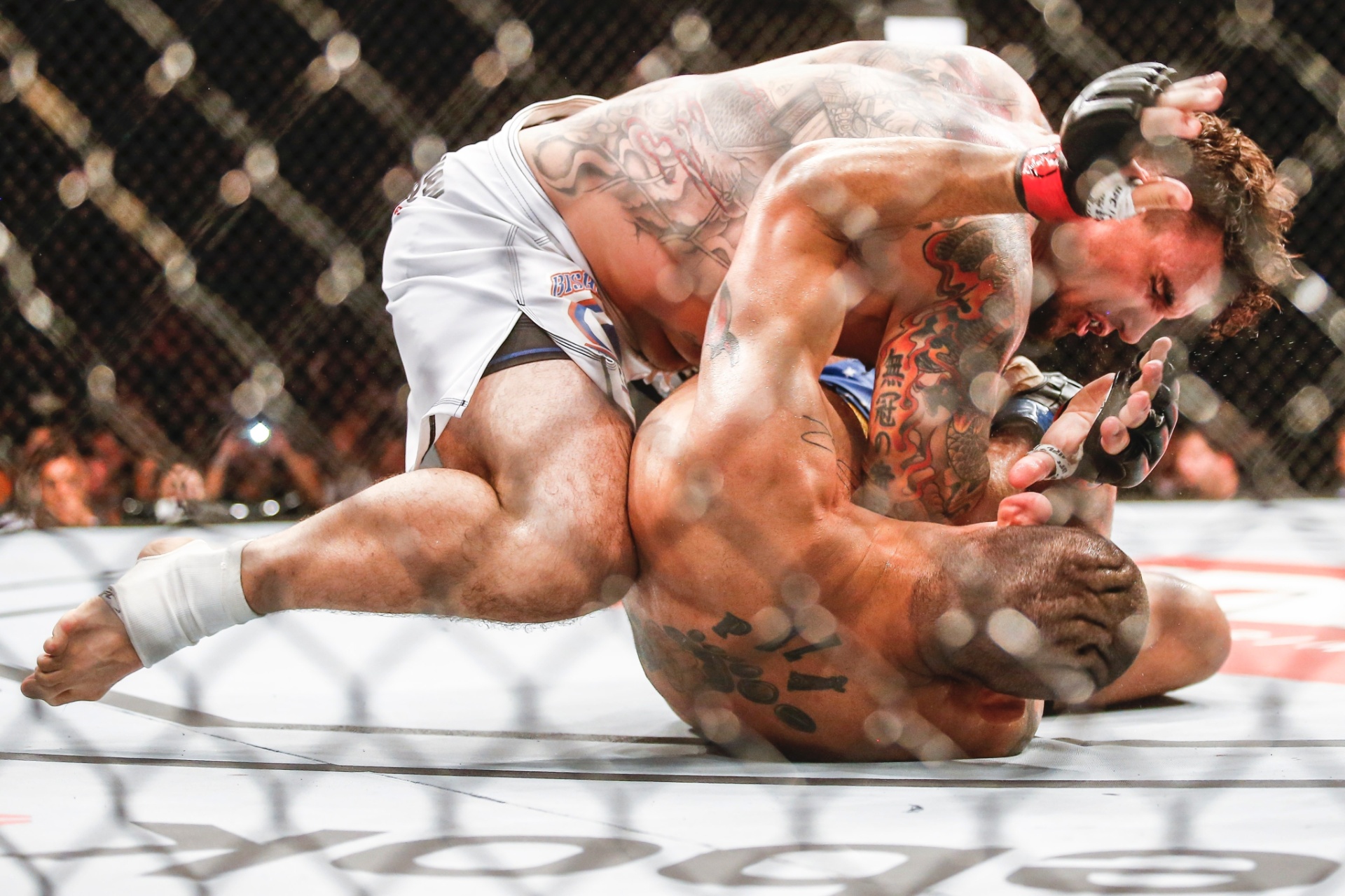 Frank Mir golpeia Pezão, já no chão, e conclui o nocaute começado em pé com um cruzado. A noite foi de zebras em Porto Alegre - Wander Roberto/inovafoto